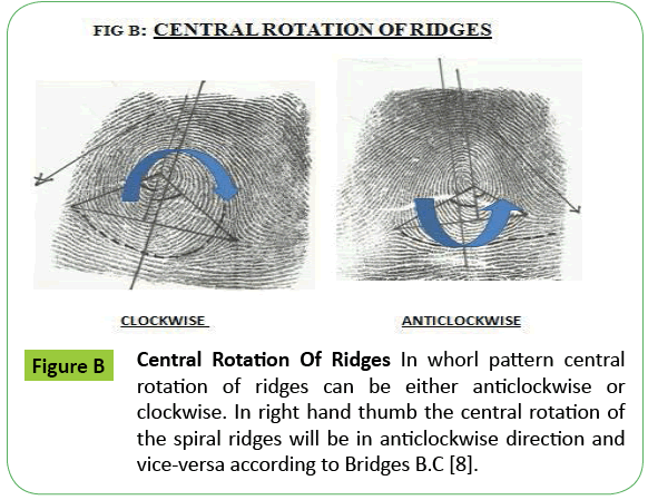 toxicology-Rotation-Ridges